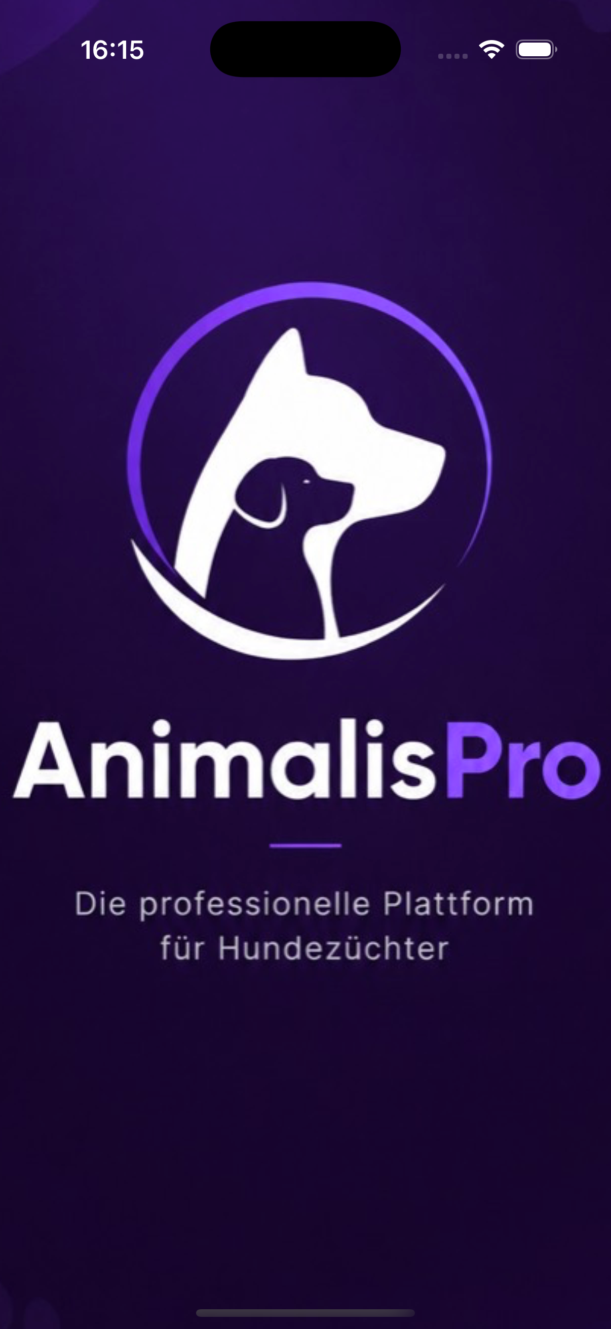 Beitragsbild